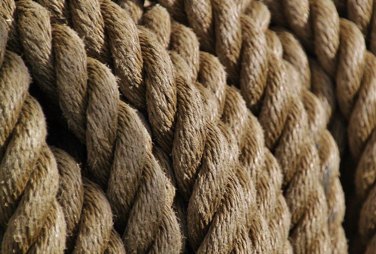 Cordes robustes, lien entre traditions ancestrales et art du Shibari contemporain.