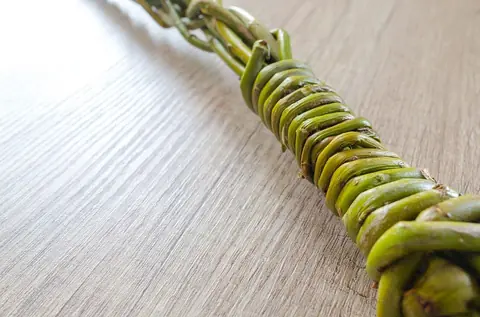 Comment utiliser un fouet correctement ?