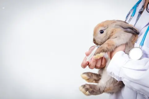 Entretenir son rabbit en silicone médical : guide complet matériel, méthodes et fréquence