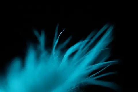 Explorer le pouvoir des plumes dans le plaisir anal : éveil sensoriel et connexion émotionnelle