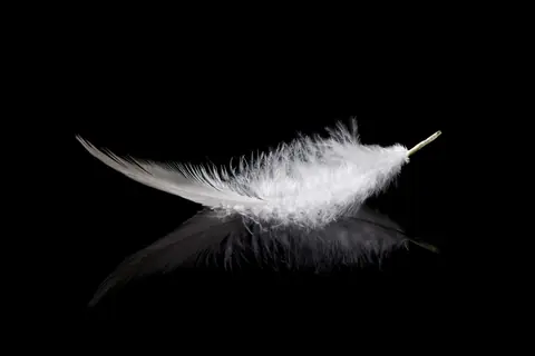 Plume posée sur verre noir