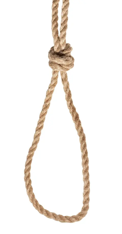Prix moyens des cordes professionnelles Esinem pour shibari : analyse complète