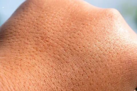 Real Feel vs Silicone Haut de Gamme : Différences Sensibles pour une Expérience Réaliste
