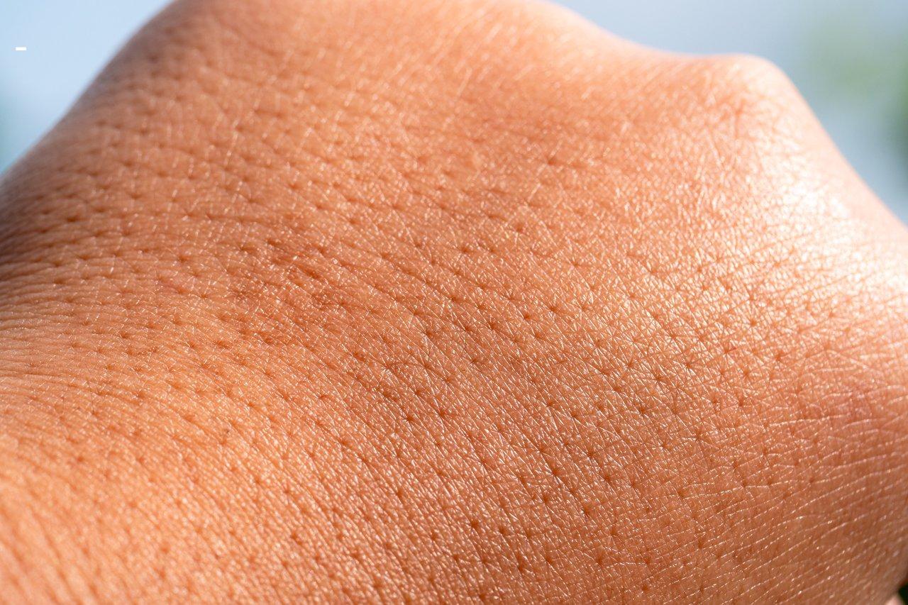 You are currently viewing Real Feel vs Silicone Haut de Gamme : Différences Sensibles pour une Expérience Réaliste